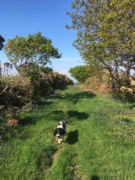 Holiday home Exmoor Devon Stylish Comfy Edwardian House *