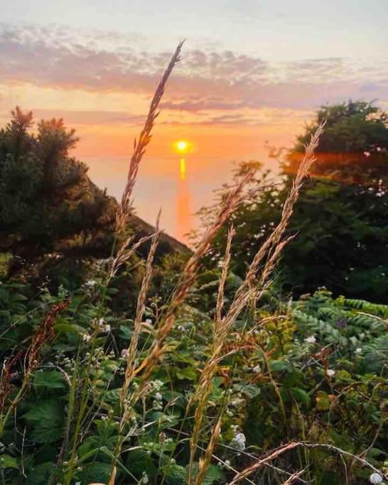 Exmoor Devon Stylish Comfy Edwardian House * Lynton